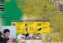 《揭秘和平精英辅助主播的神秘辅助来源，探索游戏辅助工具真相》_和平精英辅助主播的辅助在哪里弄