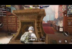 和平精英的挂_和平精英的辅助的名字