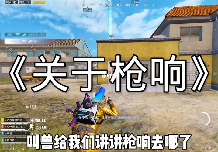 和平精英不知道队友是挂怎么办_和平精英队友是辅助我会被连累吗  第2张