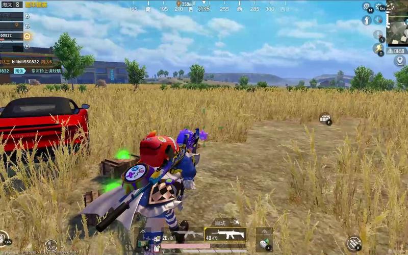 和平精英路飞辅助_和平精英路飞辅助视频  第1张