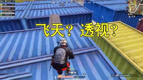 《和平精英游戏内辅助飞天透视功能的危害与应对》_和平精英辅助飞天透视  第1张