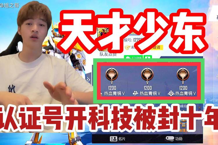 和平精英外免费挂安卓_和平精英辅助直装版下载  第1张