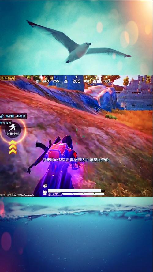 和平精英手机黑屏_和平精英开辅助手机黑屏  第1张