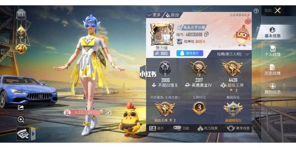 揭秘和平精英辅助真相：自瞄无后座辅助的真相与风险解析_和平精英自瞄无后座辅助  第1张