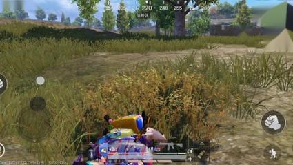 和平精英透视3元挂_和平精英单排容易遇到辅助  第2张