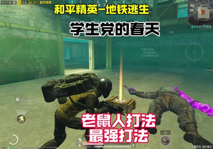 和平精英草地伪装服_和平精英伪装辅助搞笑  第1张