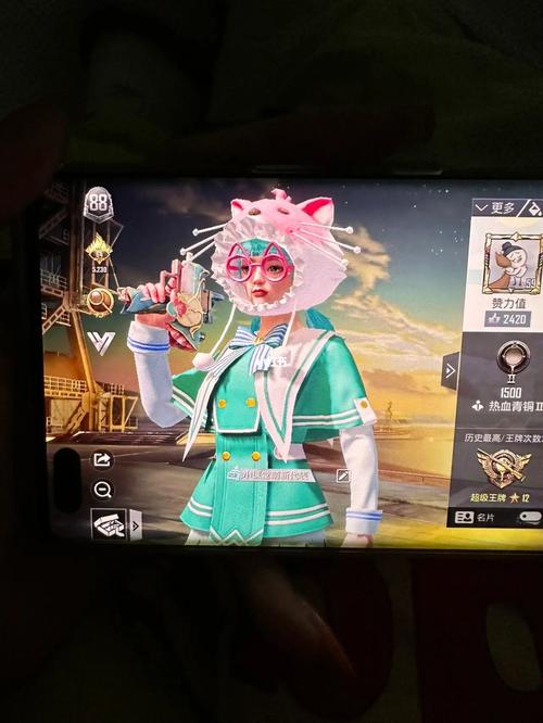 和平精英怎么开辅助教程视频_和平精英怎么开辅助的教学 第1张 和平精英怎么开辅助教程视频_和平精英怎么开辅助的教学 第1张