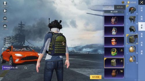 和平精英透视辅助下载_和平精英lce辅助锁头透视版  第1张