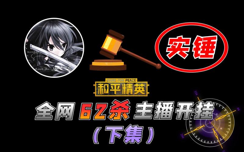 和平精英辅助是什么意思_和平精英云顶有辅助吗  第1张