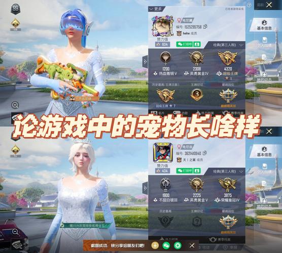 《和平精英辅助馆:荣誉与梦想交织的战场故事》_和平精英辅助馆的故事 第1张 《和平精英辅助馆:荣誉与梦想交织的战场故事》_和平精英辅助馆的故事 第1张