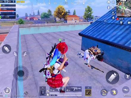 和平精英巡查遭遇高辅助：揭示游戏安全问题的挑战与对策_和平精英巡查遇高辅助  第1张