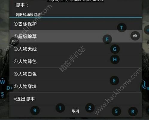 《和平精英辅助小苹果：揭秘其背后的秘密与使用风险》_和平精英辅助小苹果  第2张