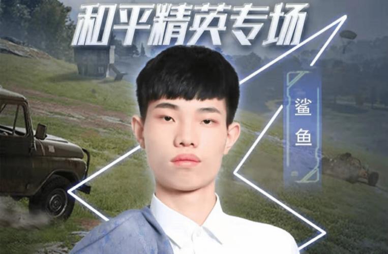 揭秘和平精英主播辅助真相：游戏背后的故事与反思_和平精英主播辅助的视频  第2张