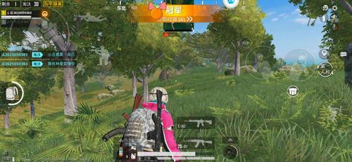 和平精英辅助版皮肤全解析：炫酷外观与独特属性一览_和平精英辅助版皮肤有哪些  第1张