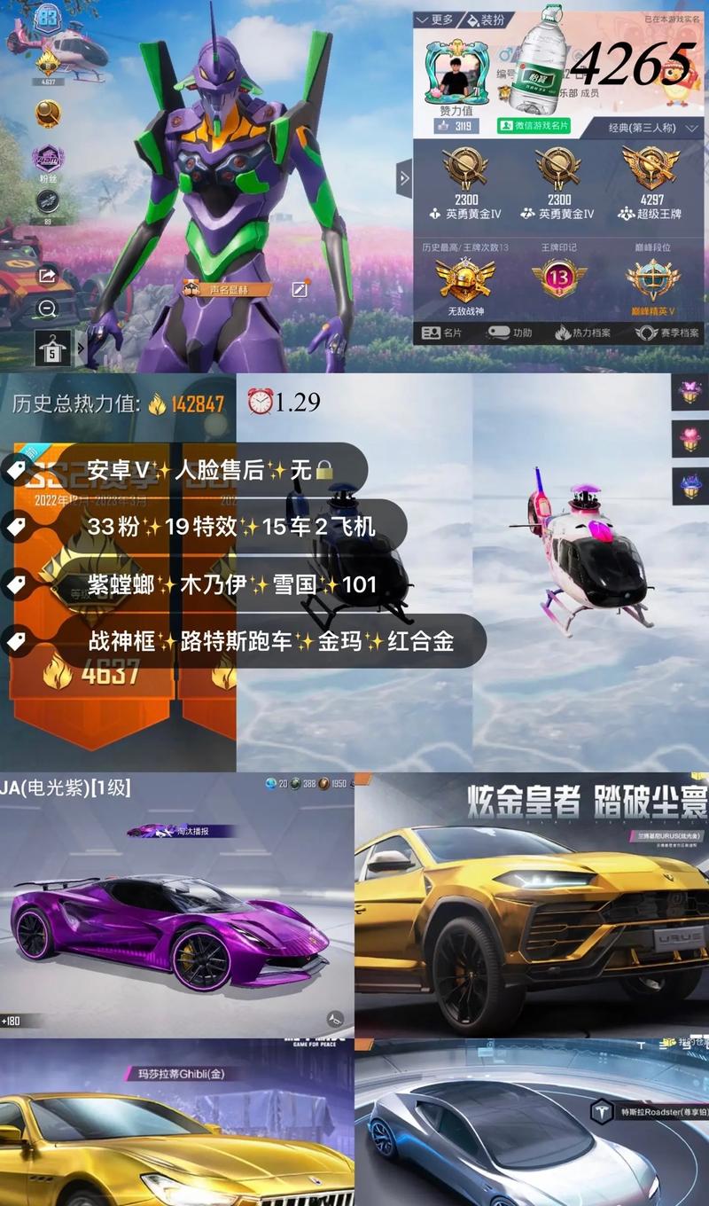 国际服和平精英挂_和平精英国际辅助  第1张