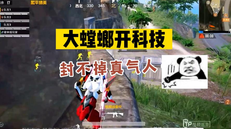 和平精英辅助范捏脸码设计指南_和平精英捏脸码辅助范  第1张