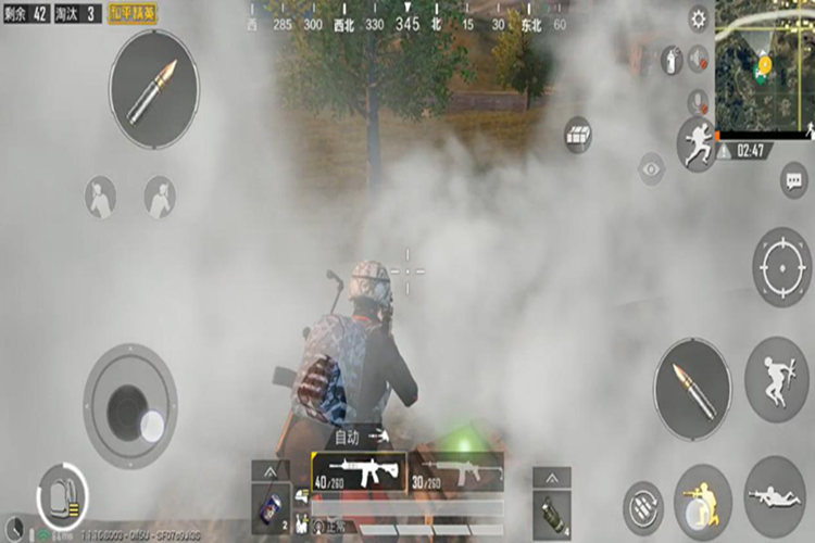 《揭秘和平精英辅助应对烟雾弹的奥秘与潜在风险》_和平精英辅助遇到烟雾 第1张 《揭秘和平精英辅助应对烟雾弹的奥秘与潜在风险》_和平精英辅助遇到烟雾 第1张