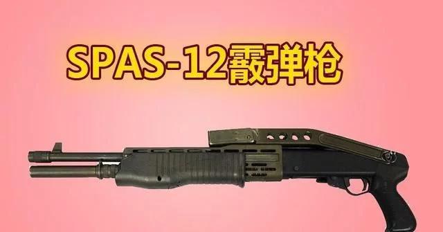 揭秘和平精英霰弹枪辅助:影响游戏平衡、危害玩家体验的隐患与警示_和平精英霰弹枪辅助 第2张 揭秘和平精英霰弹枪辅助:影响游戏平衡、危害玩家体验的隐患与警示_和平精英霰弹枪辅助 第2张