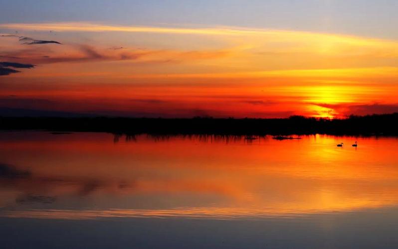 和平精英除草辅助_和平精英仙界辅助除草工具 第1张 和平精英除草辅助_和平精英仙界辅助除草工具 第1张