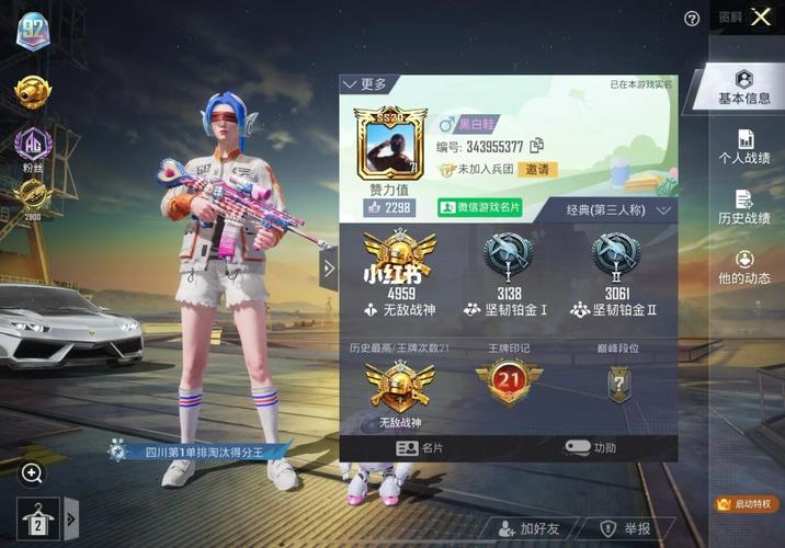 和平精英透视辅助器2023_和平精英辅助天线加透视  第1张