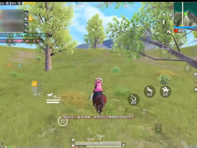 辅助和平精英_和平精英高辅助果果  第2张