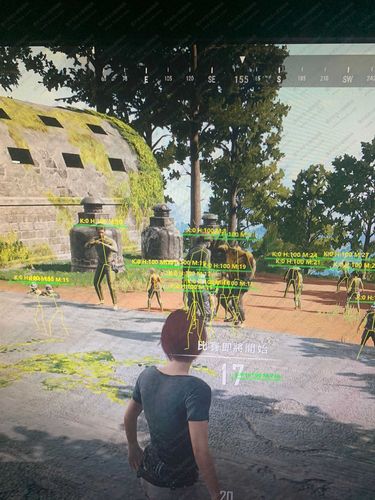 和平精英透视开挂神器下载_和平小精英透视挂  第1张