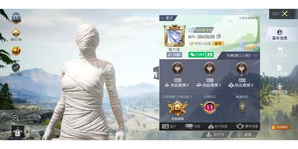 和平精英咋开辅助_和平精英开辅助封一队吗  第1张