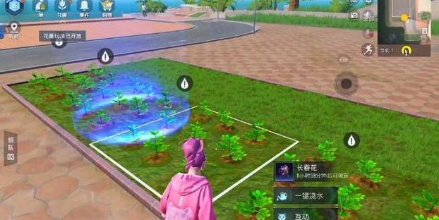 和平精英花园军火库在哪里_和平精英辅助花园  第2张