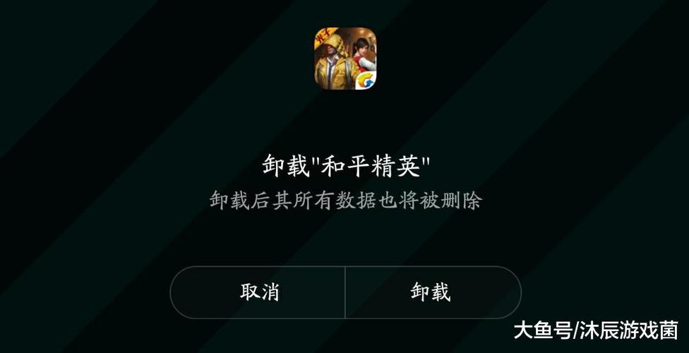 和平精英挂机时间长了自动退出_和平精英挂太多了退游  第2张