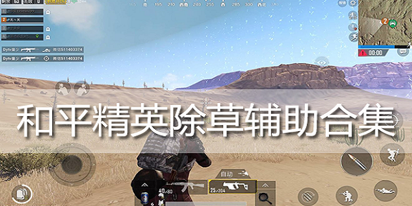 和平精英透视自瞄防封版_和平精英透视防封包  第1张